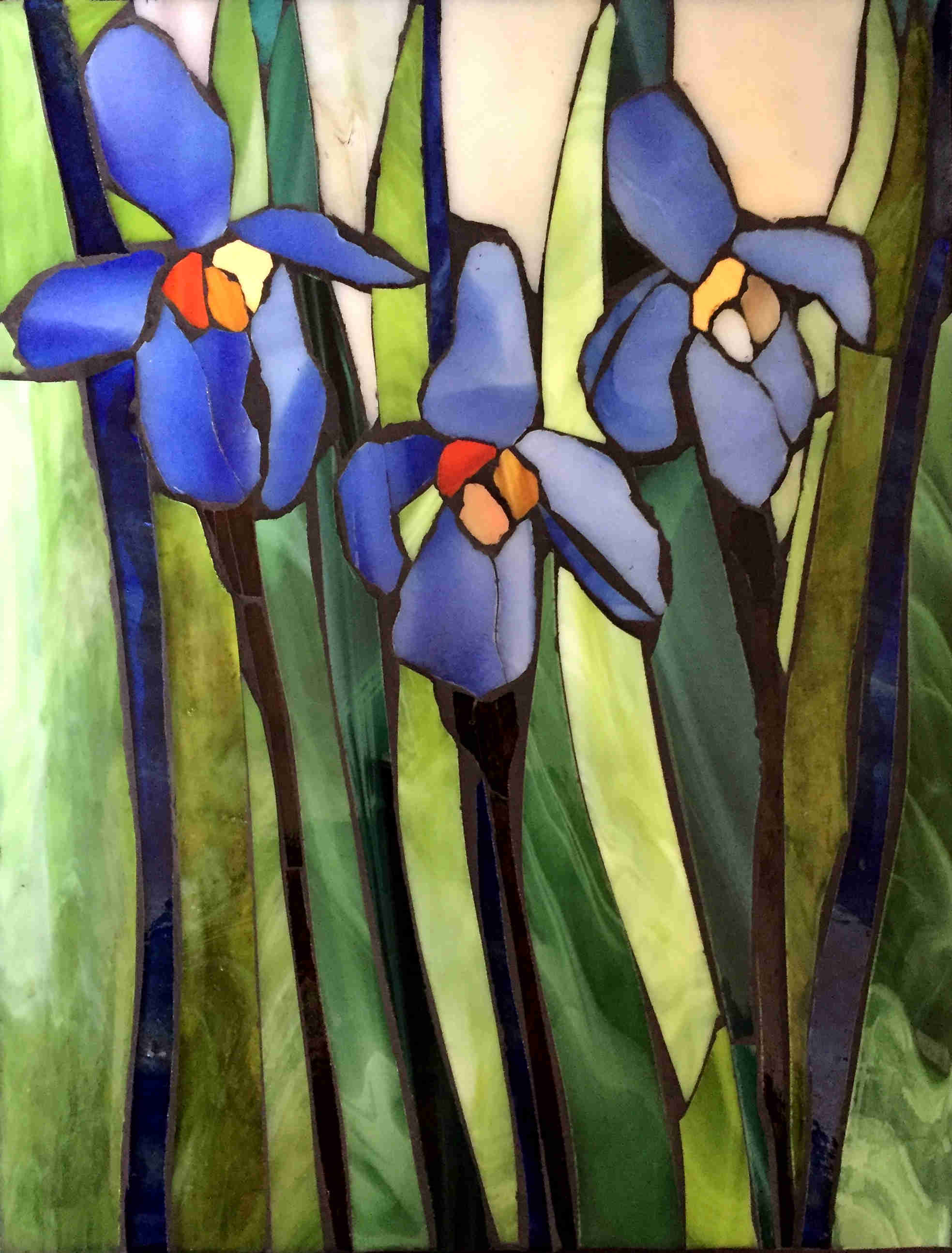 Purple Irises 11x14